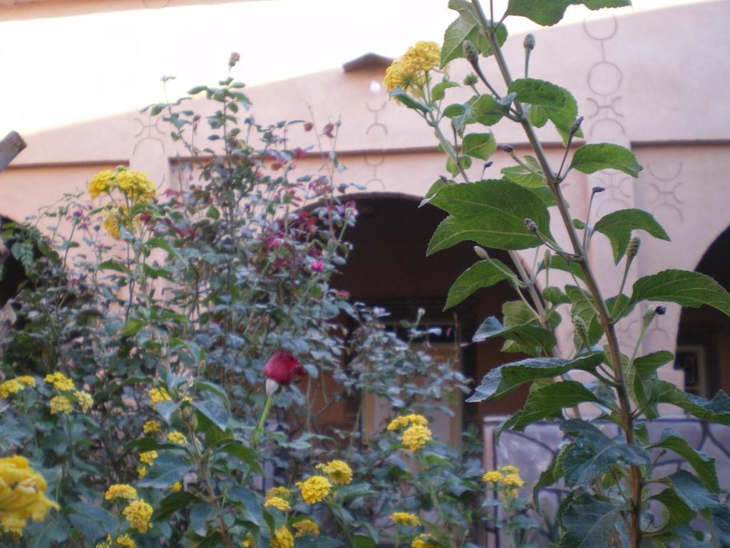Maison D' hôtes Ait Hmid Nkob Exterior foto